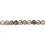 Corail fossilisé rond 6mm x 10pcs