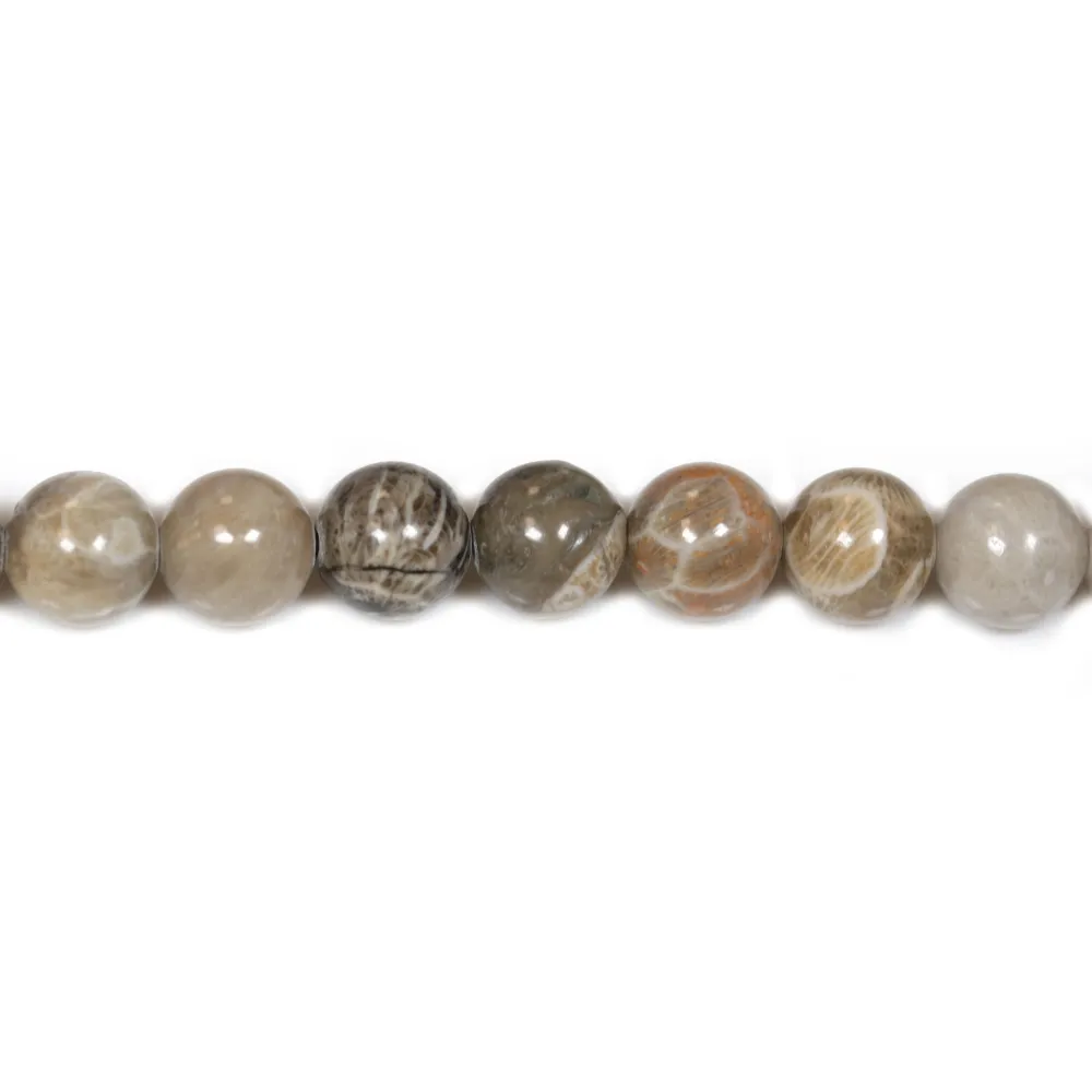 Corail fossilisé rond 10mm x 6pcs
