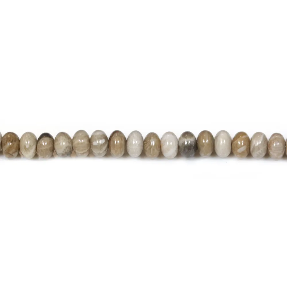 Corail fossilisé rondelle 4x6mm x 20pcs