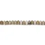 Corail fossilisé rondelle 4x6mm x 20pcs