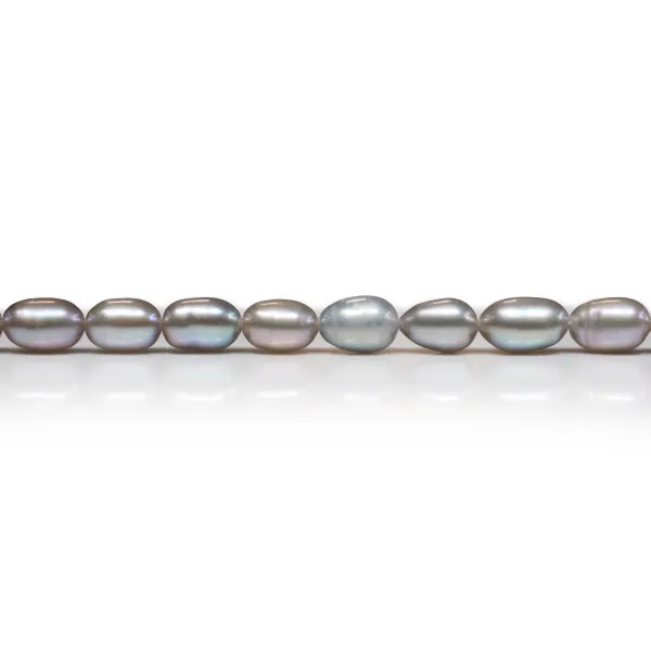 Perle de culture d'eau douce grise, ovale, 6-6.5mm x 39cm