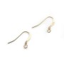 Ear wire flat 14x0.61mm 14k  gold  filled x 2pcs