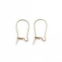 Dormeuse 8x16x0.51mm, en gold-filled 14 carats x 4pcs