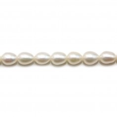 White round freshwater pearls 7mm x 5pcs