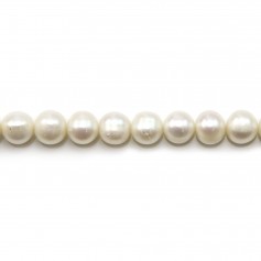 White half round freshwater pearls 8-9mm x 10pcs