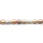 Perles de culture d'eau douce, multicolore, ovale, 11-13mm x 40cm