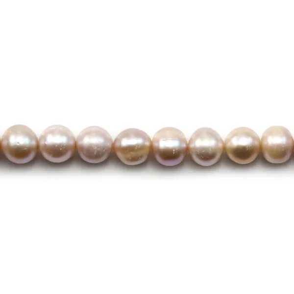Perles de culture d'eau douce, mauve, semi-ronde, 11-12mm x 40 cm