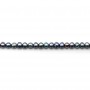 Dark blue Freshwater Pearl ovale 8-9x11-12mm x 5pcs