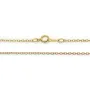 Chaine Gold Filled  14 carats 40cm x 1pc