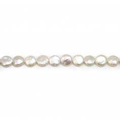 Silvery white flat round freshwater pearls 11mm x 2pcs
