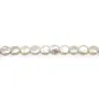 Perles d'eau douce blanc argenté en rond plat 11mm x 2pcs