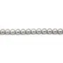 Perles d'eau douce rondes grises 10mm x 1pc