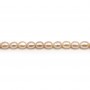 Salmon color oval freshwater pearls 7x11mm x 4pcs
