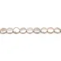 Perles de culture d'eau douce, blanche, ronde, 14mm x 1pc