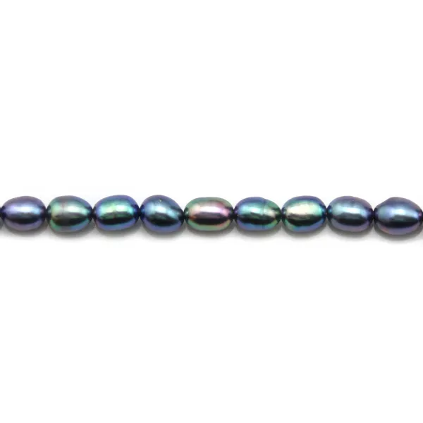 Perles de culture d'eau douce, bleu violacé, olive, 5-6mm x 10pcs