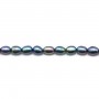 Perles de culture d'eau douce, bleu violacé, olive, 5-6mm x 10pcs