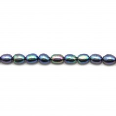 Dark blue oval freshwater pearls on thread 5-6mm x 40cm