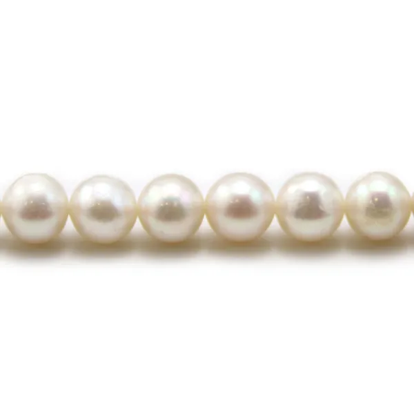 Perles d'eau Douce Blanc rond  8-9mm  AAA x 40cm