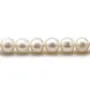 Perles d'eau Douce Blanc rond  8-9mm  AAA x 40cm