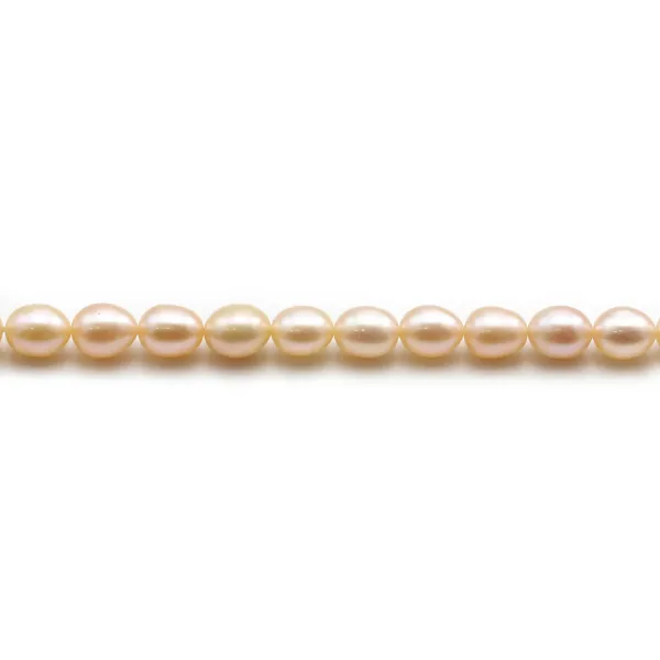 Perles d'eau douce ovale couleur saumon sur fil 5-6mm x 40cm