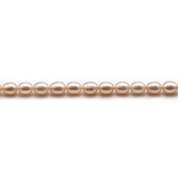 Freshwater pearls colored salmon, in oval shaped, 6 - 7mm x 6pcs