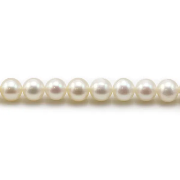 Perles d'eau douce blanches rondes sur fil 6mm x 40cm