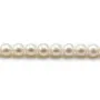 Perles d'eau douce blanches rondes sur fil 6mm x 40cm