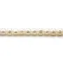 Perles de culture d'eau douce, blanche, semi-ronde, 5.5-6.5mm x 6pcs