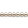 Perles culture AKOYA japonais rond  7-7.5mm   x 40cm