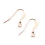 Gold filled rosé 14 carats crochets d'oreilles 17 x 20mm x 2pcs