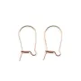 Dormeuse 8x16x0.51mm, en gold-filled 14 carats rosé x 4pcs