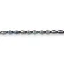 Perles de culture d'eau douce, bleu fonce, olive, 3-4mm x 36cm