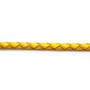 Golden Braided leather cord 3.0mm  x 50cm