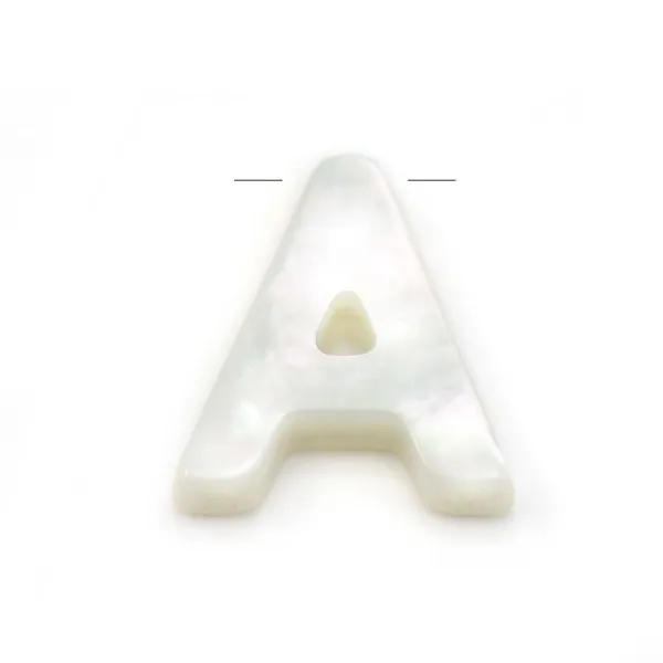 Nacre blanche en forme de fleurs sur fil 6mm x 40cm (15pcs)