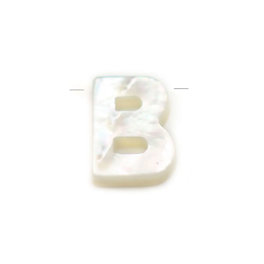 Nacre blanche en forme de fleurs sur fil 6mm x 40cm (15pcs)
