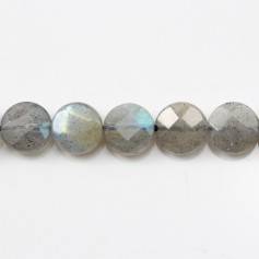 Labradorite Faceted Flat Round 10mm x 4pcs