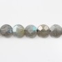 Labradorite Faceted Flat Round 10mm x 4pcs