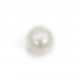 Perle des mers du Sud, blanche, ronde, 12-13mm, AA x 1pc