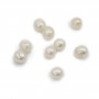 White freshwater pearls 8x10mm x 2pcs
