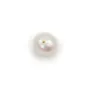 Perles de culture d'eau douce, blanche, ronde, 8x9mm x 2pcs