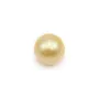 Perle des mers du Sud, champagne, ronde, 9.5-10mm x 1pc