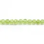 Peridot rond  facette 6mm x 2pcs 