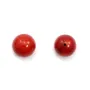 Bambou de mer rouge semi-percé, rond, 12mm x2pcs