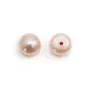 Perles de culture d'eau douce, semi-percée, mauve, bouton, 6.5-7mm x 4pcs