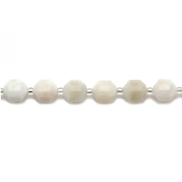 Rose quartz round beads on thread 6mm x 40cm 