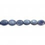Kyanite oval 12x16mm x 1pc