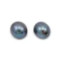 Perles de culture d'eau douce, semi-percée, bleue foncée, ovale, 5-5.5mm x 2pcs