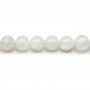 Moon Stones Round 8mm x 40cm