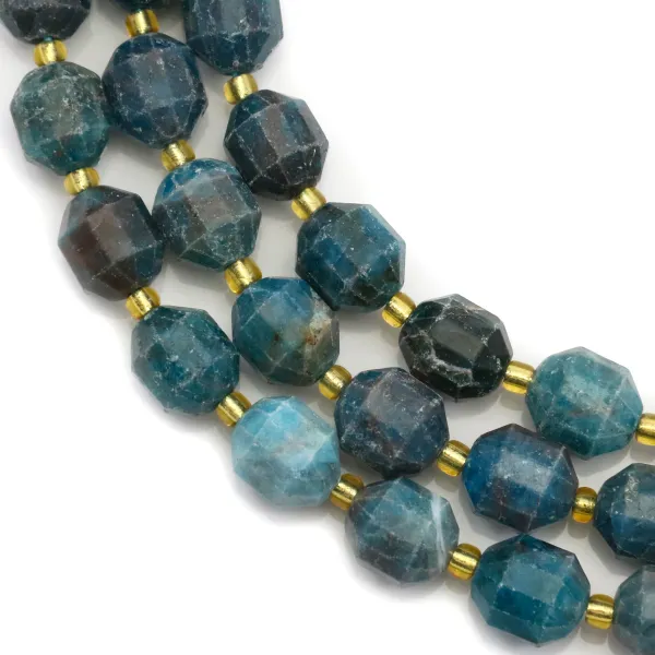 Apatite,en forme d'octogonal facette sur fil 10mm x 40cm