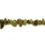 Grenat vert en forme chips x 40cm
